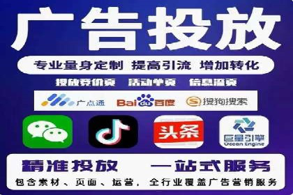 行业领先SEM托管代运营案例